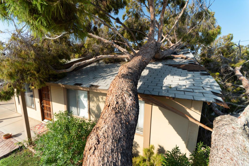 roof damage insurance claims